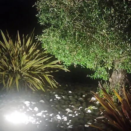 Bed & Breakfast Magnolia